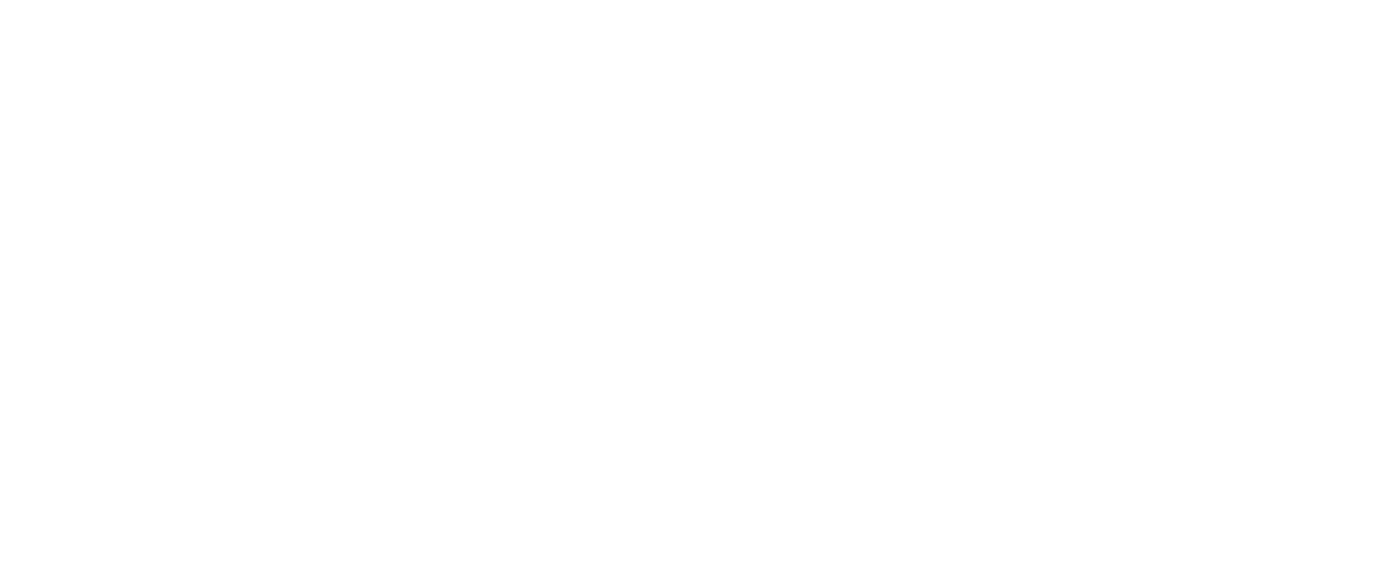 American_Apparel_REV