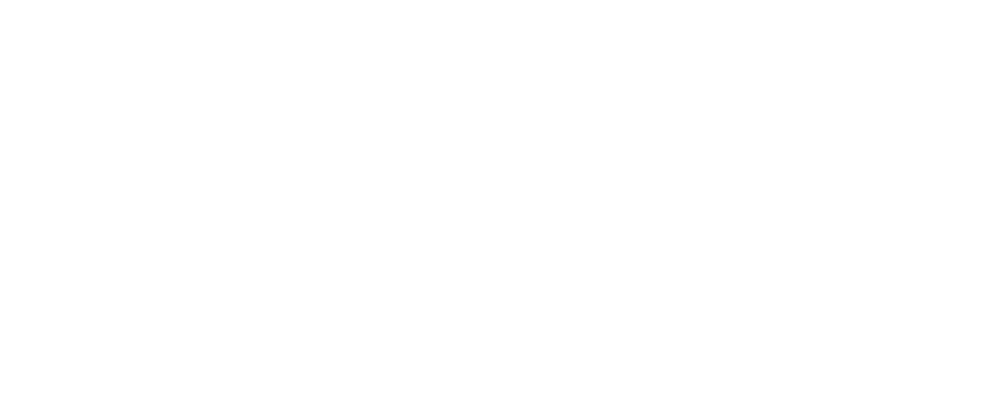DFA Logo REV