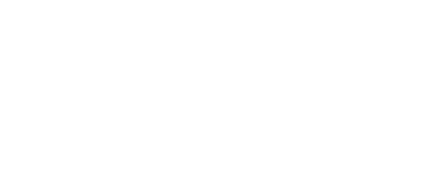 Morphe_REV