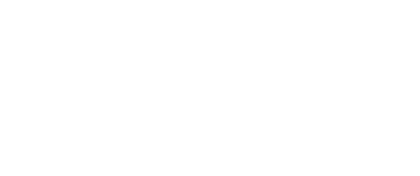 Pepsico_REV