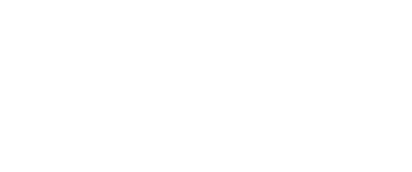 Spark_REV