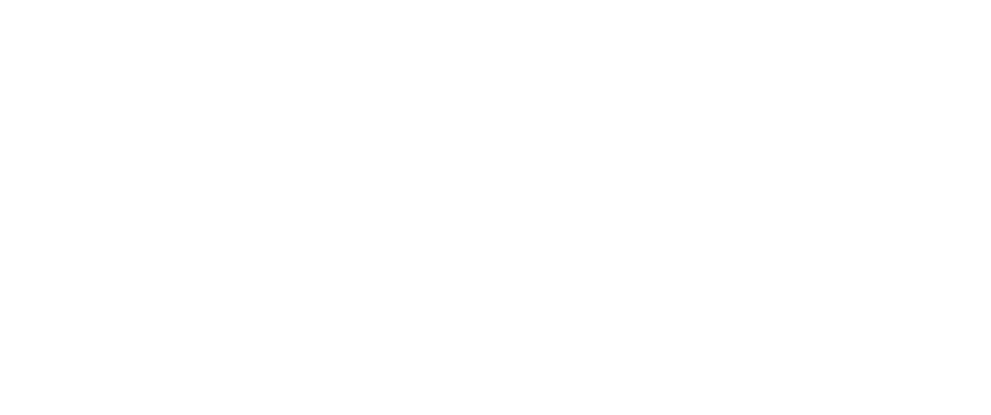 Zoetis_REV